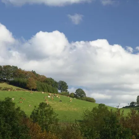 Furnished With Peaceful Neighbourhood 別荘 *