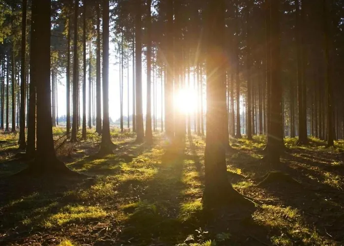 Furnished With Peaceful Neighbourhood بيت للعطل *